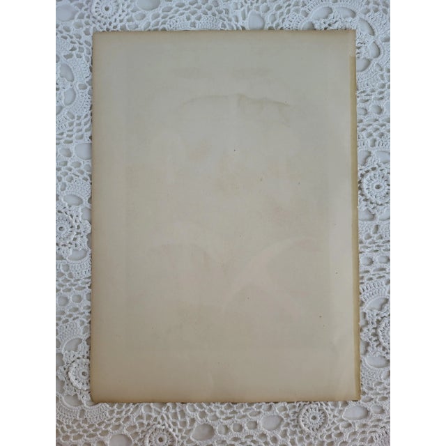 A ca 1885 Belgium fine color lithograph featuring mushroom fungi, Agaricus Arvensis. Lithographed by H Furrer after Fritz...