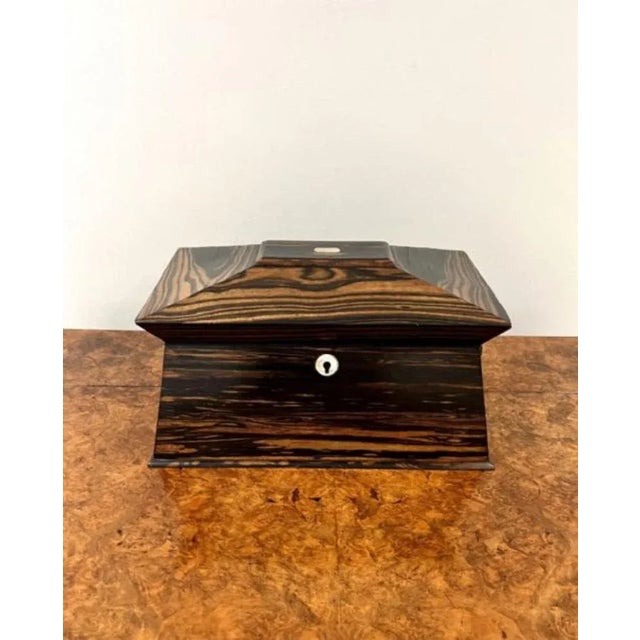 Brown Regency Coromandel Wood Tea Caddy, 1830s For Sale - Image 8 of 10