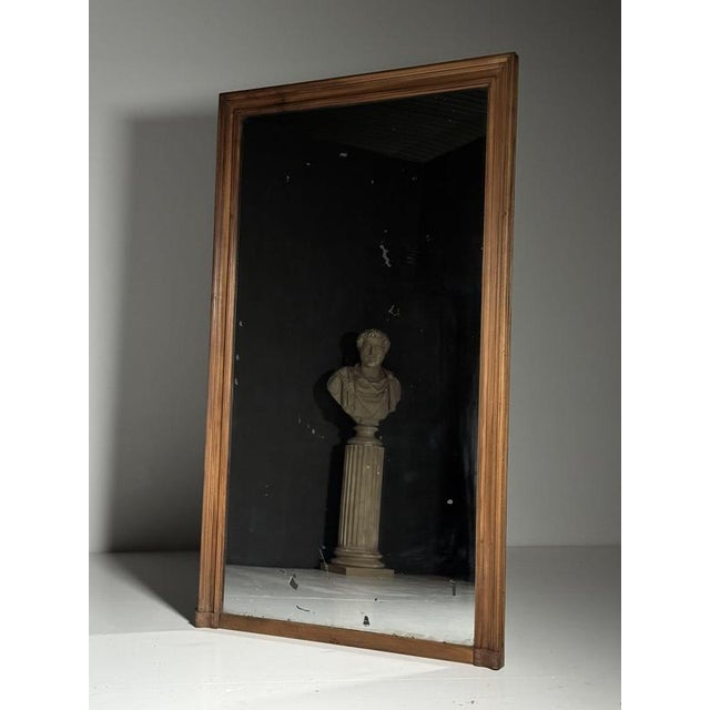 19th Century Belgian Full-Length Mirror For Sale - Image 10 of 18