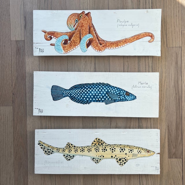Vintage French Sea Life Paintings on Wood Panels - Set of 3