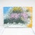 Costanza Mantovani, Broom in Sanremo, 2000s, Oil on Canvas For Sale - Image 9 of 9
