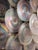 Pink Iridescent Murano Glass Wall Lamp from Mazzega, 1970s For Sale - Image 8 of 11