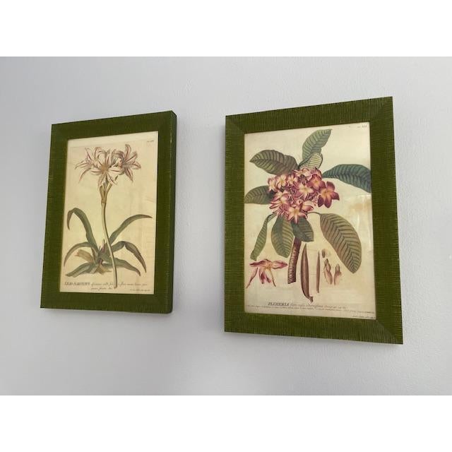 Vintage Wood Framed Botanical Prints For Sale - Image 4 of 12