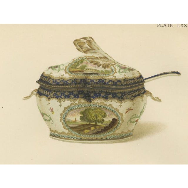 Joseph H. Thorpe, Worcester Porcelain Vases with Pheasant and Panels, 1910, Chromolithographs on Paper, Set of 2 For Sale - Image 10 of 12