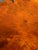 Vintage 1970s California Redwood Burl Live Edge Coffee Table on Redwood Stump Base For Sale - Image 9 of 15