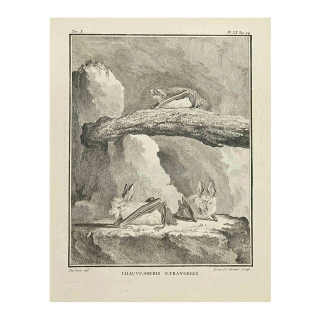 Louis Legrand, Chauvesouris, Etching, 1771 For Sale