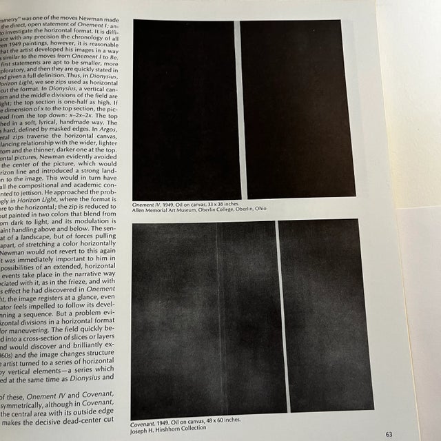 Vintage 1970s Barnett Newman and Mark Tobey Books Set/2 For Sale - Image 10 of 13