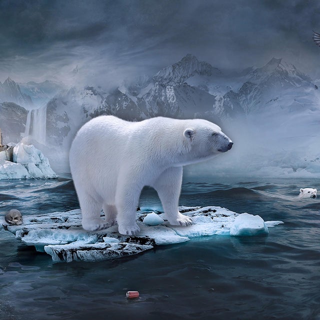 The artwork presents a surreal, icy landscape where a polar bear stands on a fragmented ice floe, embodying the stark...