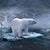 The artwork presents a surreal, icy landscape where a polar bear stands on a fragmented ice floe, embodying the stark...