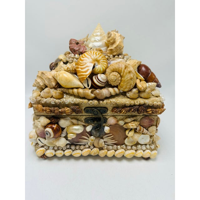 Tan Large Vintage Shell Box For Sale - Image 8 of 8