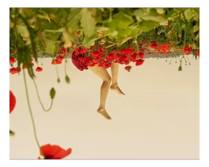 Carla Sutera Sardo, Smell of Beauty, 2022, Photographic Print