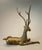 Mid 20th Century Mid 20th Century Extra Large Brass Deer Sculpture For Sale - Image 5 of 12