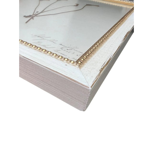 Wood 1895 Herbarium Botanical Specimens, Set of 18 For Sale - Image 7 of 11
