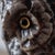 Ceramic 1880s Victorian Porcelain Owl Lamp For Sale - Image 7 of 14