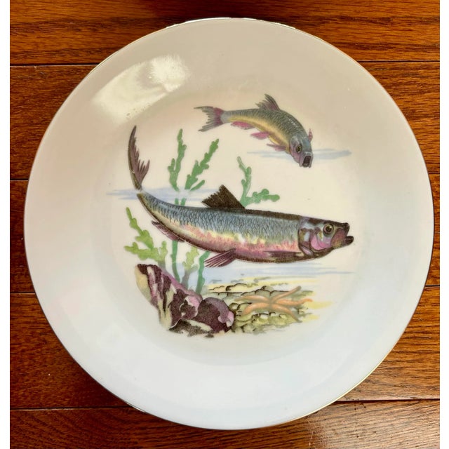 White Vintage Set of 6 Trout Fish Design Appetizer Plates ~ Barvaria For Sale - Image 8 of 11