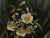 Antique Oil Painting Signed Artist's Study of Cherokee Roses in a Glass For Sale - Image 4 of 18
