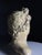 Apollo Bust in Concrete For Sale - Image 5 of 12