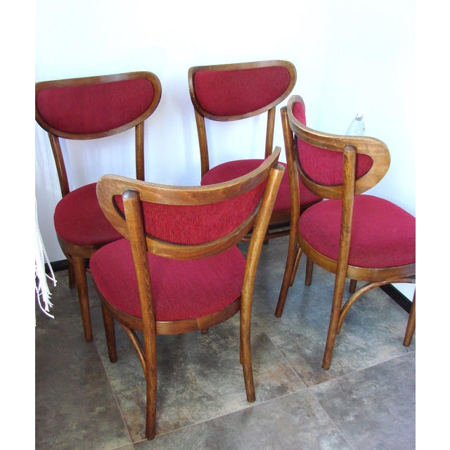 Vintage Chairs from Thonet, 1960s, Set of 4 For Sale - Image 6 of 10