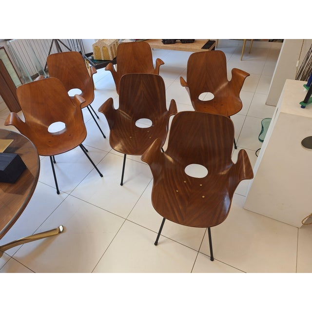 Model Medea 102 Chairs by Vittorio Nobili for Medea, 1950s, Set of 6, in Very Good conditions. Designed 1950 to 1959 I...