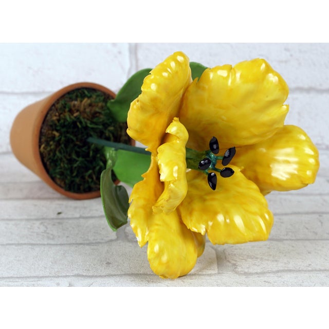 Yellow Porcelain Parrot Tulip by Didier Gardillou For Sale - Image 6 of 7