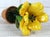 Yellow Porcelain Parrot Tulip by Didier Gardillou For Sale - Image 6 of 7