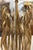 Mid 20th Century Mid 20th Century Organic Modern Brass Sculptural Table Lamp For Sale - Image 5 of 7