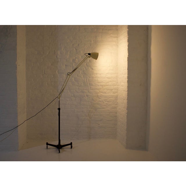 Designed by george cawardine in 1935 as a work lamp with ergonomics and stability as objectives, this lamp was made by...