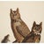A stunning large vintage Cottage Style reproduction of the original Vintage lithographic print of The Great Horned Owls...
