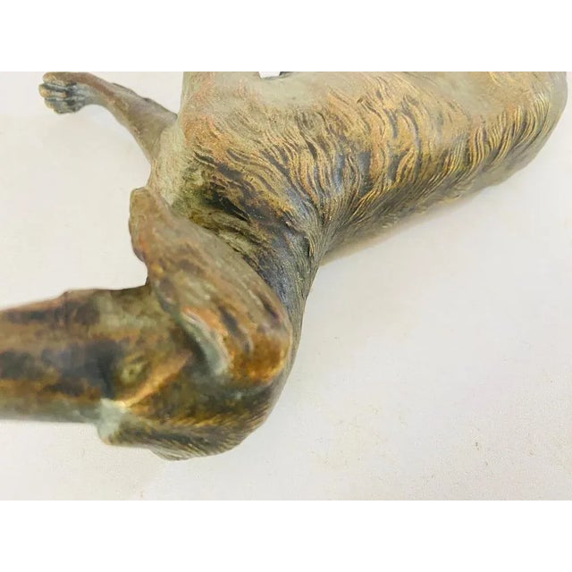 Bronze Dog in the style of Jules Moigniez, France, 1880s For Sale - Image 6 of 10