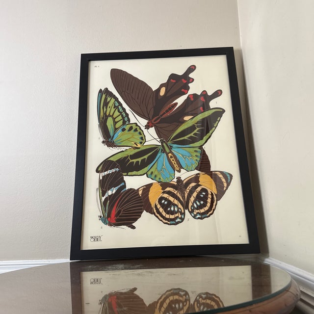 Vintage Insects Giclee Print After Emile-Allain Seguy ~Framed For Sale - Image 9 of 9