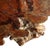 Wood 19th Century Japanese Burl Wood Dai For Sale - Image 7 of 13