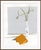 Susan Hable is a renowned artist and designer based in Athens, Georgia, known for her bold and colorful works. Co-founder...
