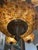 Late 20th Century Grand Venetian-Style Tiered Amber Glass Flower Rosette & Cast Metal Chandelier (48” H X 36” W) For Sale - Image 5 of 8
