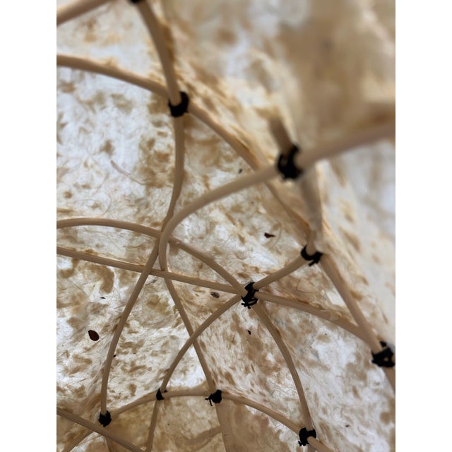 2020s Handmade Japanese Kozo Paper and Reed Sculpture by Macus Alonso. For Sale - Image 5 of 8