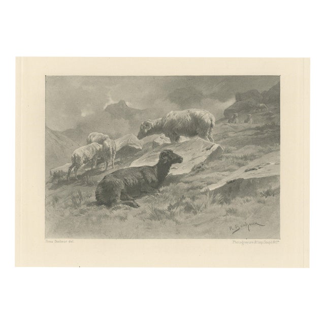 After Rosa Bonheur, Sheep in a Mountain Landscape, 1880, Photogravure For Sale
