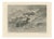 After Rosa Bonheur, Sheep in a Mountain Landscape, 1880, Photogravure For Sale
