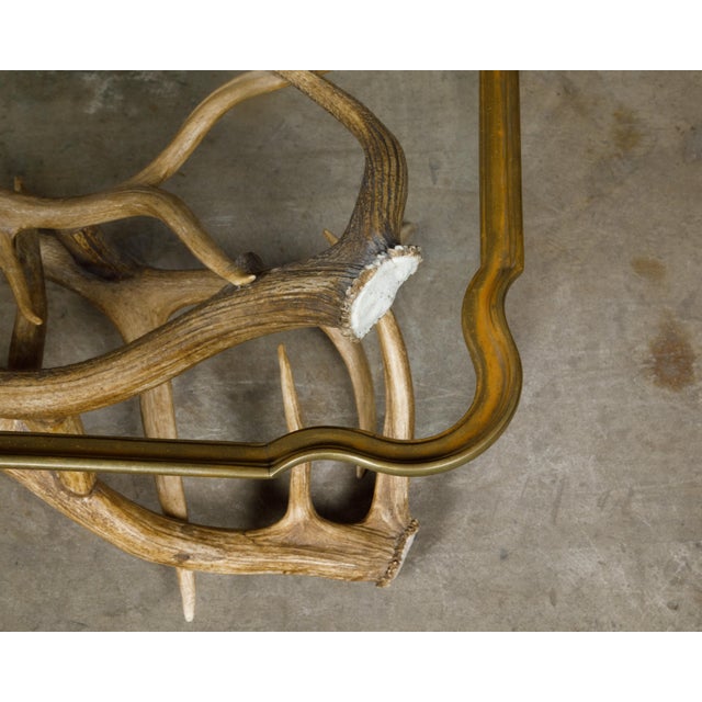 Mid 20th Century Antler and Glass Midcentury American Coffee Table with Gilded Surround For Sale - Image 4 of 12