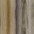 Harlequin Vitruvius Wallpaper in Gold / Basalt - a Sample For Sale