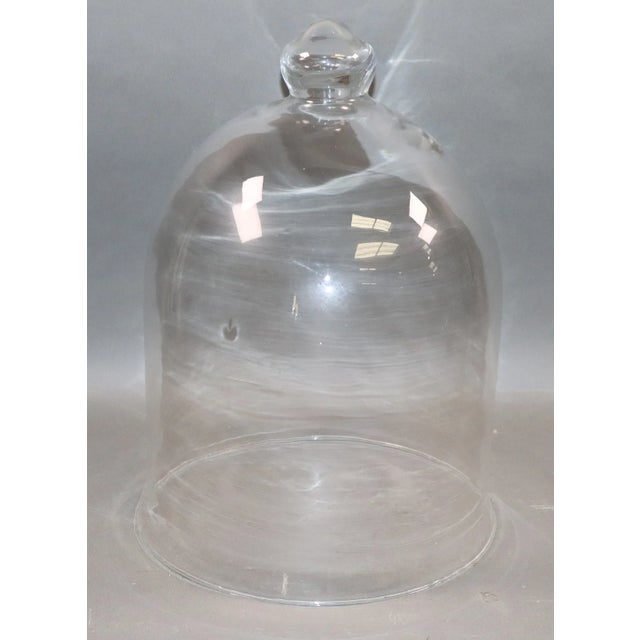 Early 21st Century Glass Domed Cheese Cloche For Sale - Image 5 of 6