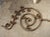 Set of Antique French Wrought Iron Scrolling Elements, Early 1800s For Sale - Image 4 of 18