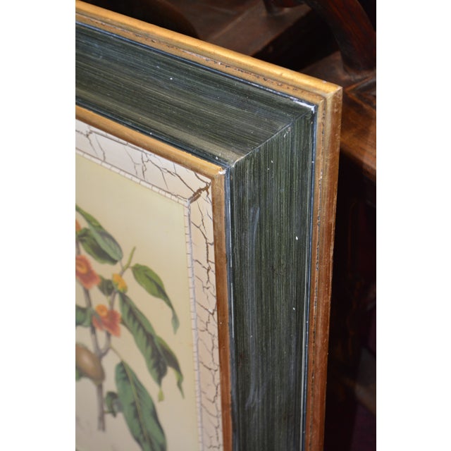 19th-Century Elizabeth Twining Royal Folio Botanicals – Hand-Colored Zincographs c.1850 - Pair For Sale - Image 12 of 17