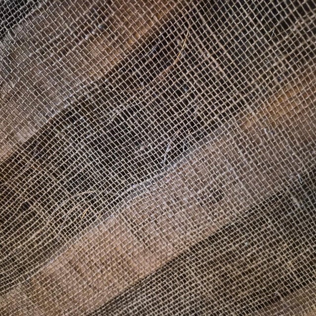 Vintage Beech and Yellow Skai Armchairs with Compass Legs, 1950s, Set of 2 For Sale - Image 10 of 11