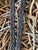 Vintage English Leather Laced Braided Snaffle Horse Reins For Sale - Image 13 of 17