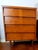 Ward Furniture Mfg Mid Century Louvered Highboy For Sale - Image 10 of 12