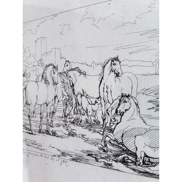 A striking framed antique horse etching by Georg Philipp Rugendas the Elder (1666-1742). The artist was known for his...