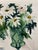 Jane A Lee Heyerdahl (born 1939) "Straw Hat with Daisies" watercolor on paper, signed lower left; titled on the back....
