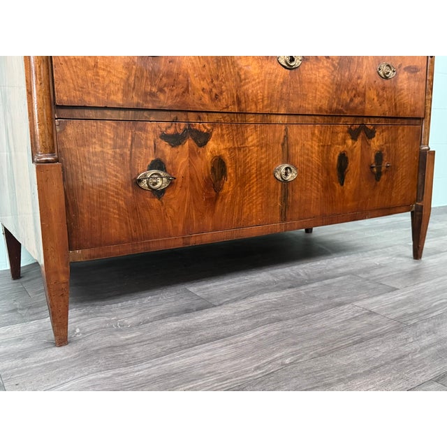 Antique Mid-19th Century Biedermeier Walnut Chest of Drawers, Germany For Sale - Image 18 of 18