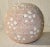 Beautiful globe in modern style. Shino glaze with pinhole on stoneware body. Blush pink with a traditional floral pattern...