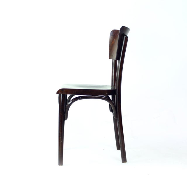 Bentwood Chair, Former Czechoslovakia, 1950s For Sale - Image 6 of 10