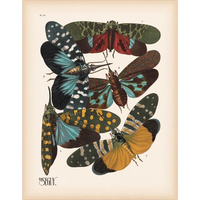 2020s Set of 6 Insects Giclee Reproduction Art Prints After Emile Allain Séguy For Sale - Image 5 of 6